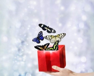 Летающая бабочка «MAGIC FLYER» Санкт-Петербург объявление